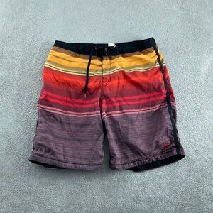 Speedo Mens Multicolor Striped Swim Trunks L Polyester Mesh-Lined 2909